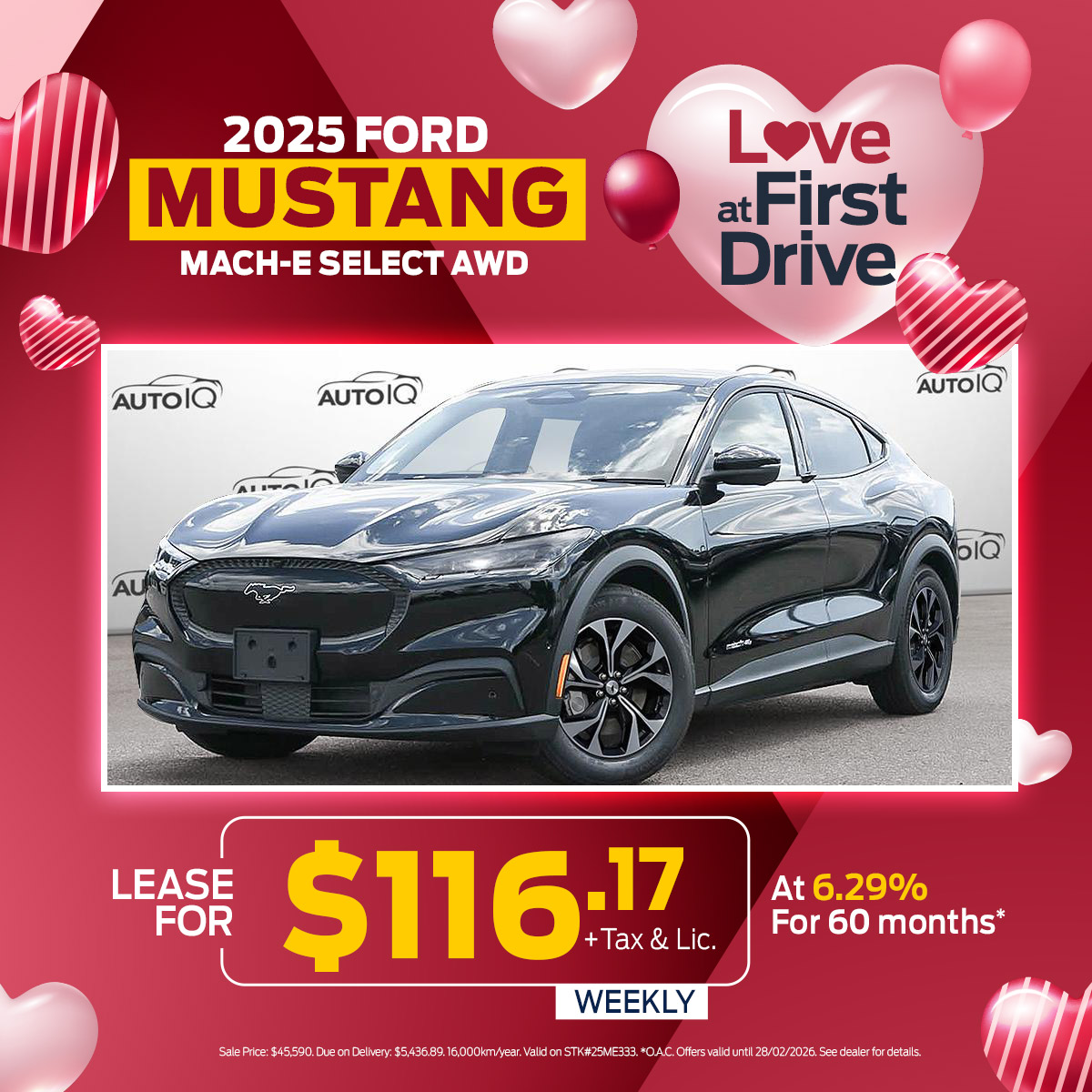 love at first drive 25ME333 1200 1200